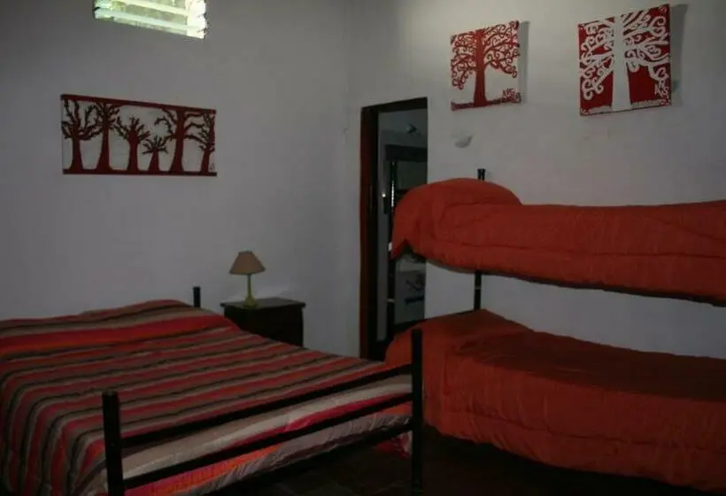 Standard Neljän Hengen Huone, Andamundos Hostel