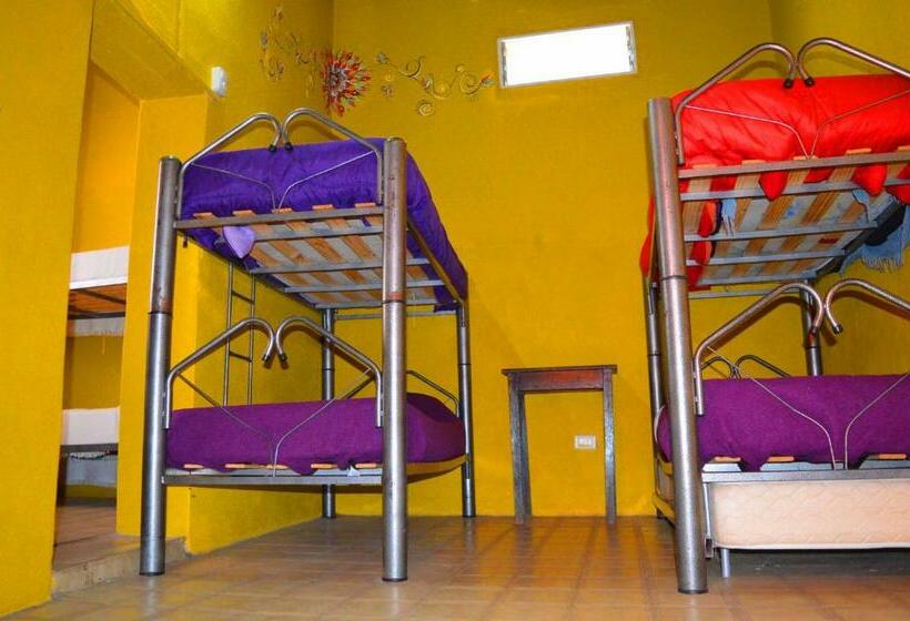 سرير فى غرفة مشتركه, Andamundos Hostel