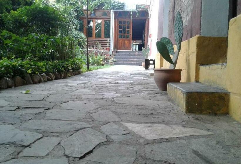 غرفة قياسية رباعية, Andamundos Hostel