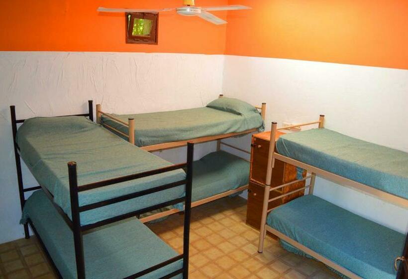 سرير فى غرفة مشتركه, Andamundos Hostel