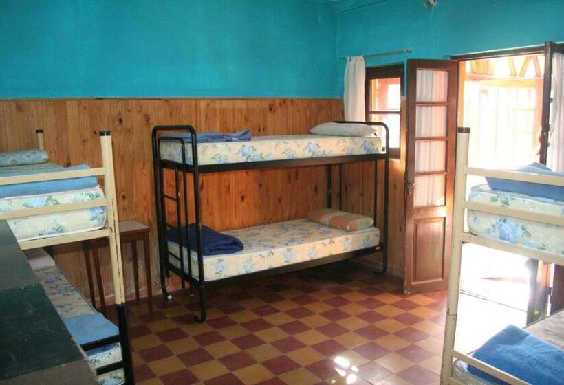 سرير فى غرفة مشتركه, Andamundos Hostel