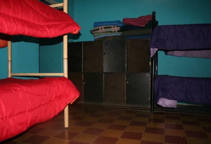 공동 객실, Andamundos Hostel
