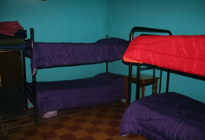 سرير فى غرفة مشتركه, Andamundos Hostel