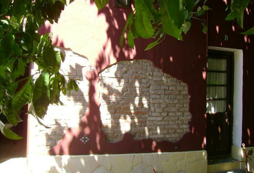 غرفة قياسية, Andamundos Hostel