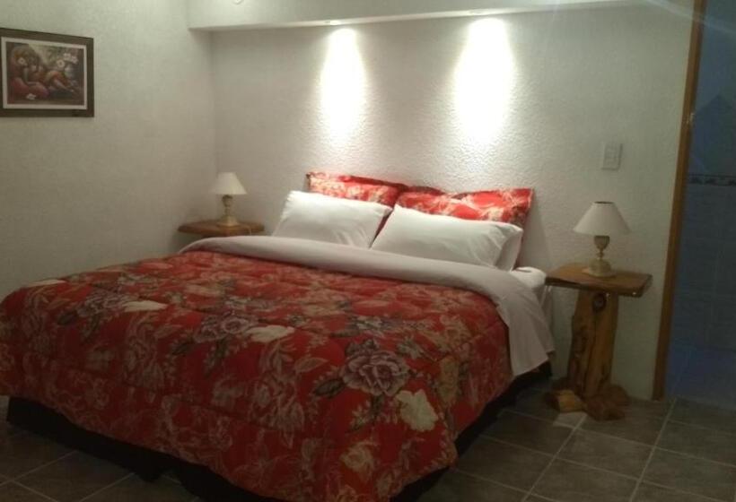 Номер Deluxe, Apart Hotel Y Hosteria Del Sir