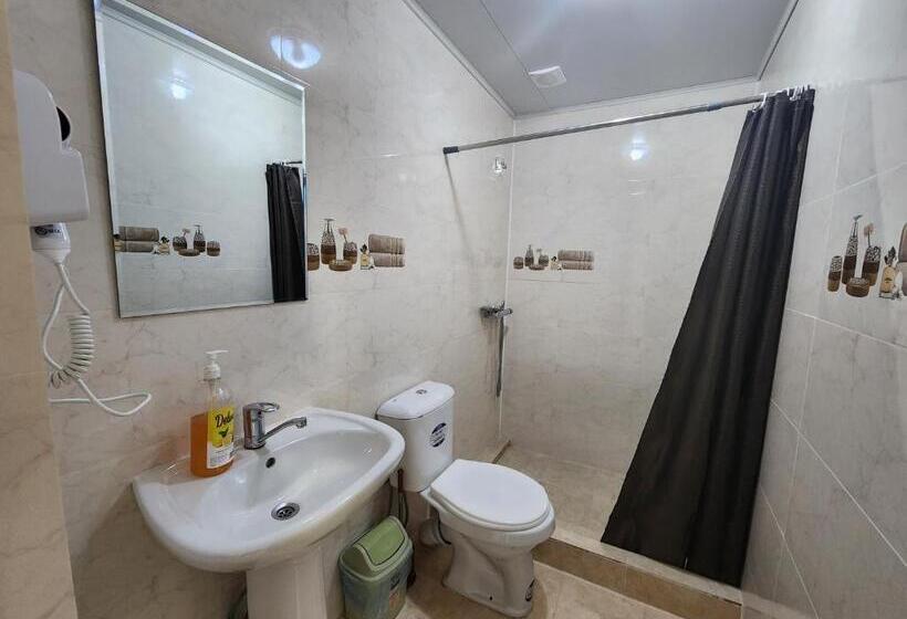 اتاق استاندارد, Green House Hostel