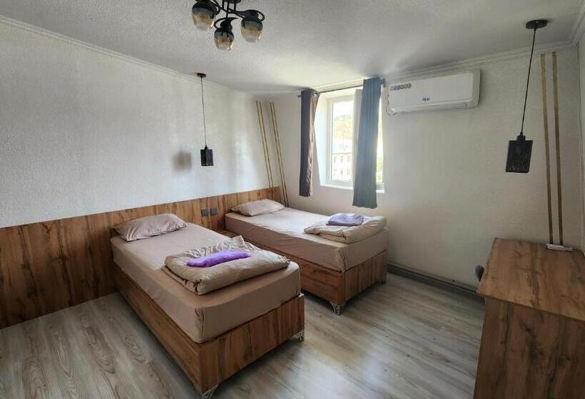 اتاق استاندارد, Green House Hostel
