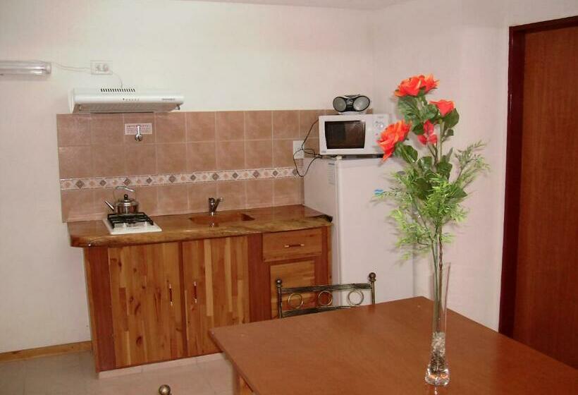 침실 1개 아파트, Apart Hotel Y Hosteria Del Sir