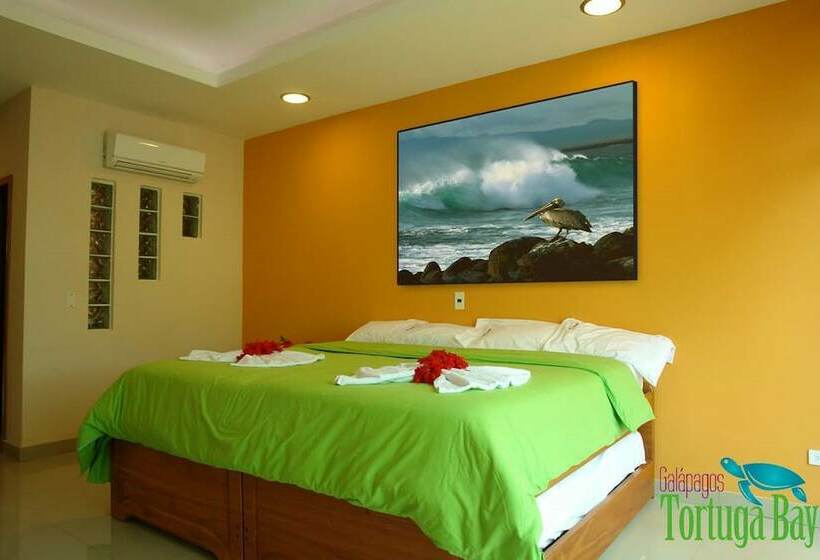 标准间, Galapagos Tortuga Bay