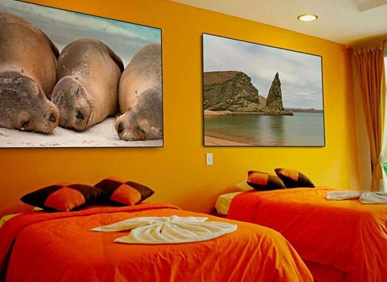 스탠다드 룸, Galapagos Tortuga Bay