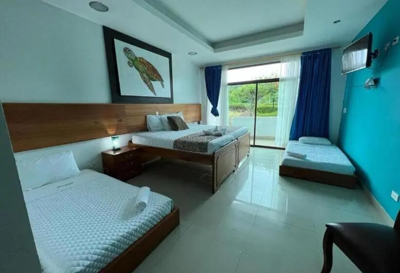 スーペリアの４人部屋, Galapagos Tortuga Bay
