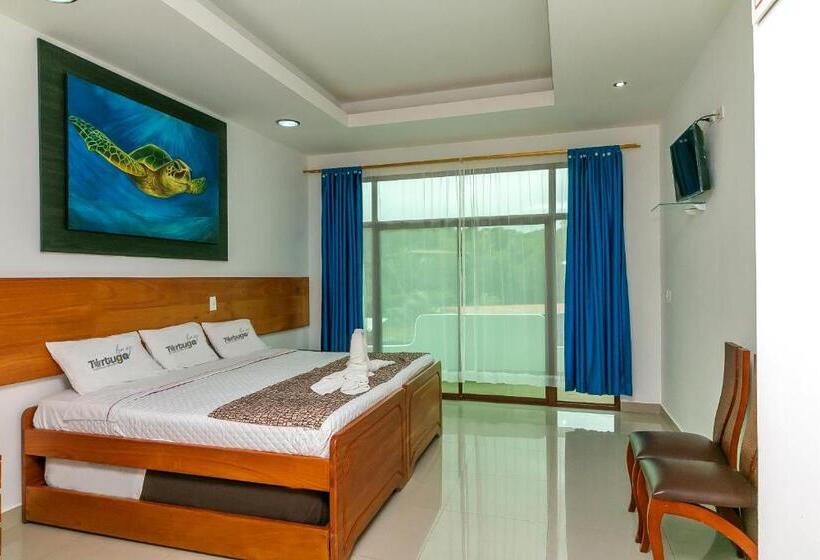 标准单人间, Galapagos Tortuga Bay