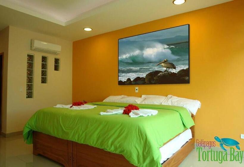 标准单人间, Galapagos Tortuga Bay