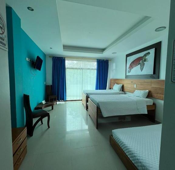 수피리어 트리플 룸, Galapagos Tortuga Bay