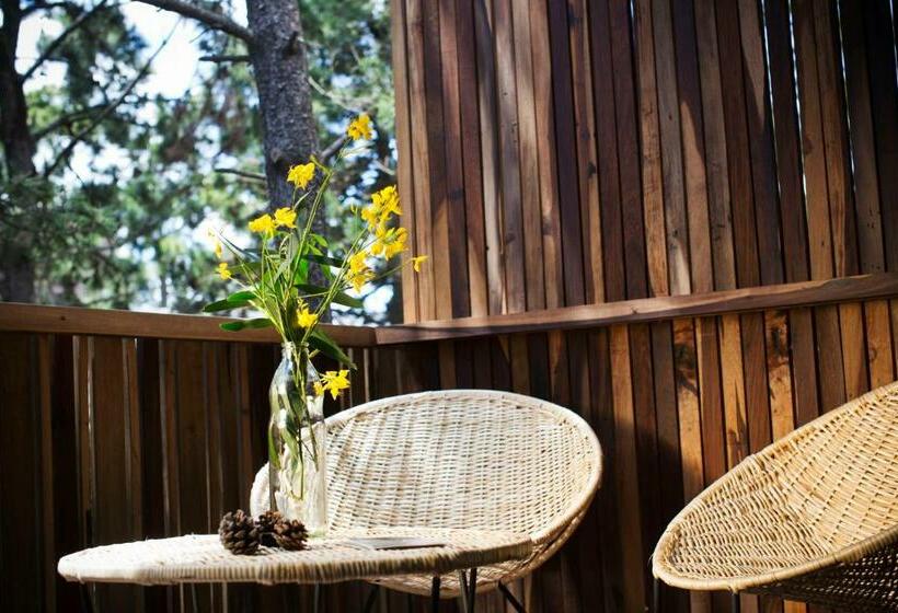 标准间, Plenilunio Mar De Las Pampas