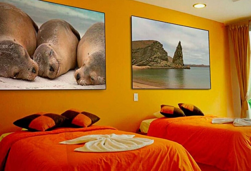 标准间, Galapagos Tortuga Bay