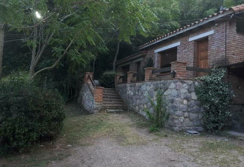 Бунгало Стандарт, Zapata