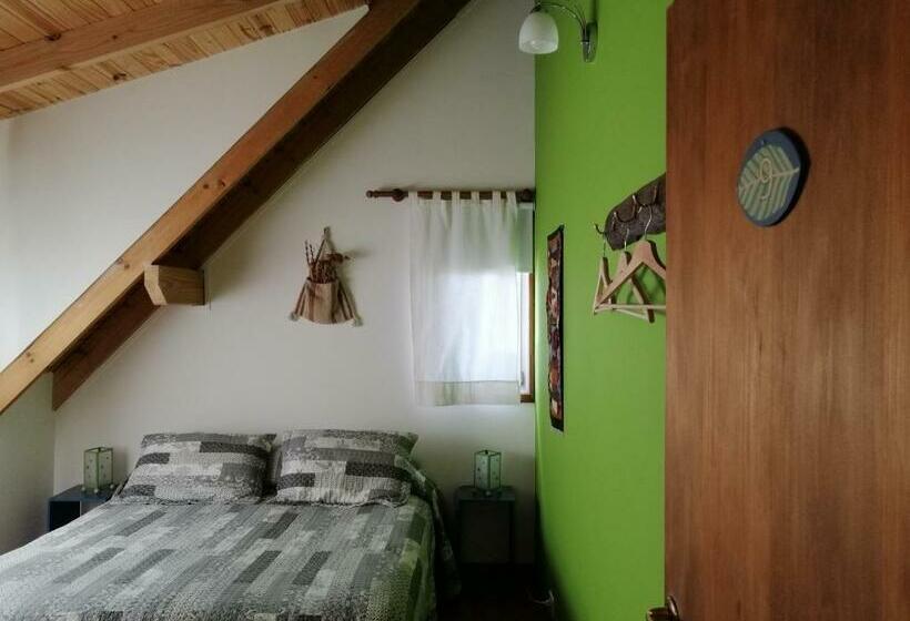 חדר סטנדרט חדר אמבטיה משותף, Nothofagus Bed & Breakfast