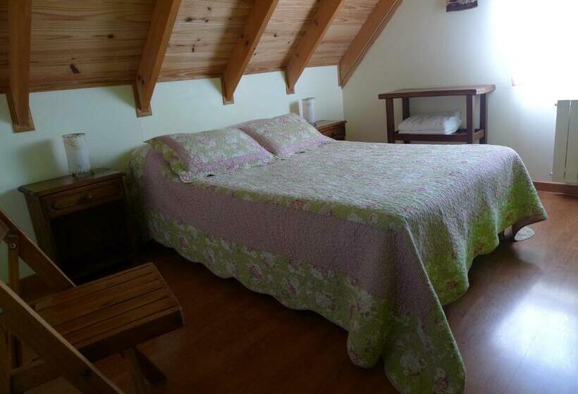 חדר סטנדרט חדר אמבטיה משותף, Nothofagus Bed & Breakfast
