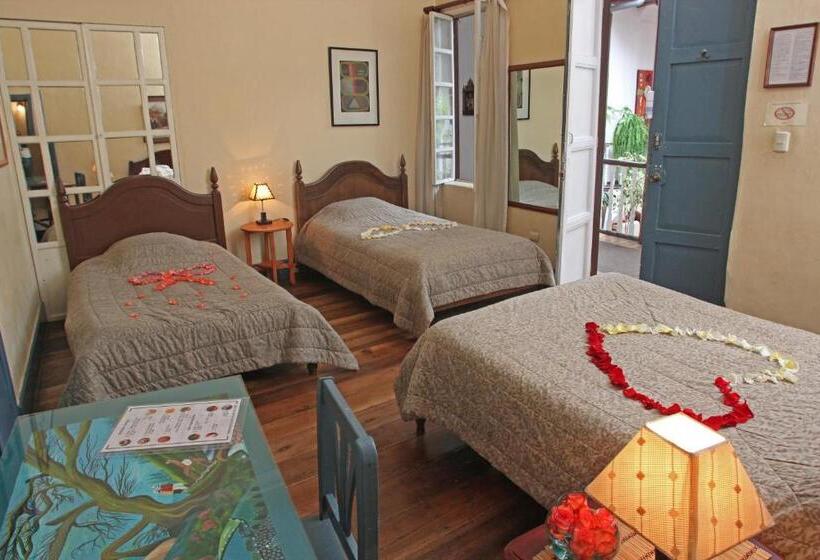 Háromágyas Standard Szoba, Casa Macondo Bed & Breakfast