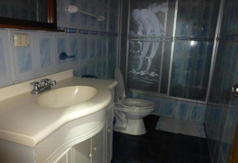 공동 객실, Hostal Nomada