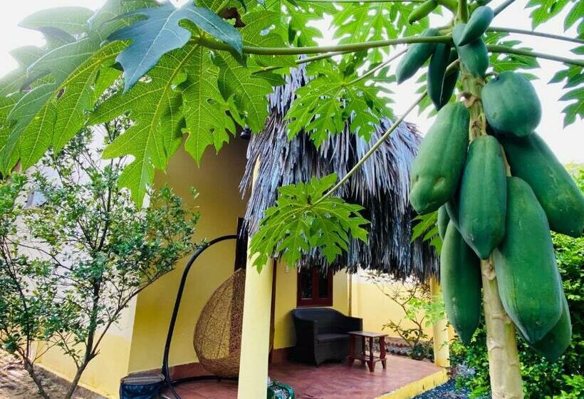 Suite, Mango Home Riverside