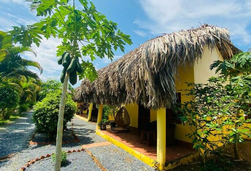 Suite, Mango Home Riverside