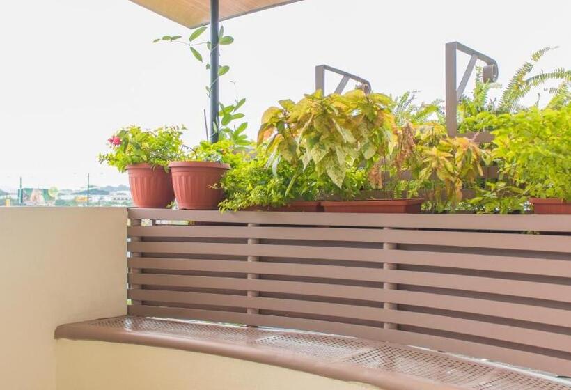 Suite, Ciudad Latin Palace