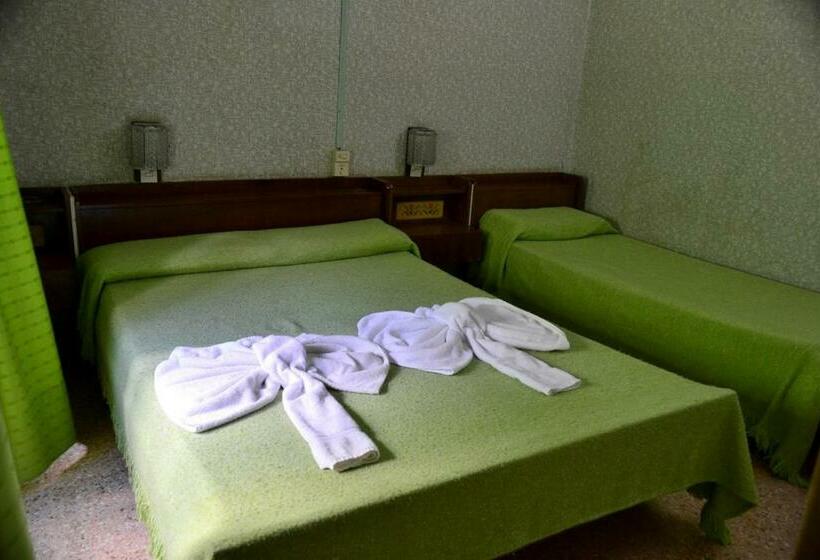 스탠다드 트리플 룸, Danubio