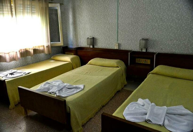 스탠다드 트리플 룸, Danubio