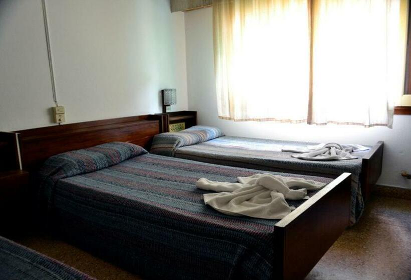 4인용 스탠다드 룸, Danubio