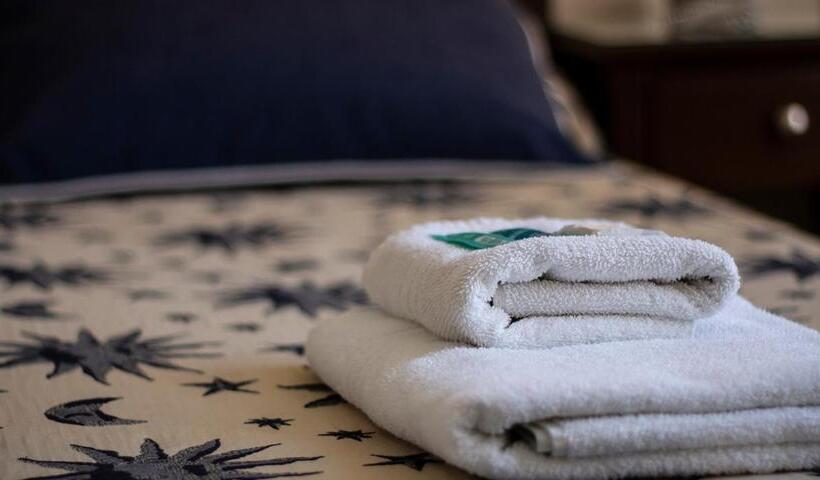 Standaard Éénpersoonskamer, Federico I