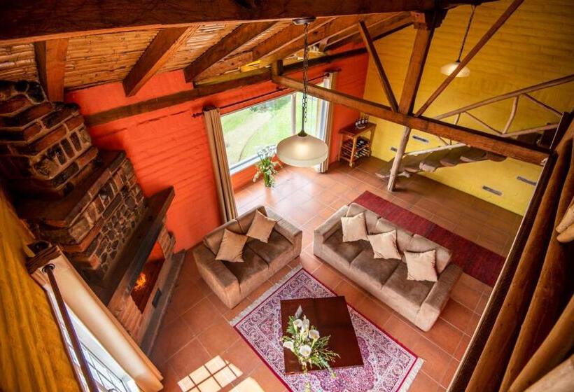 جناح, La Estelita