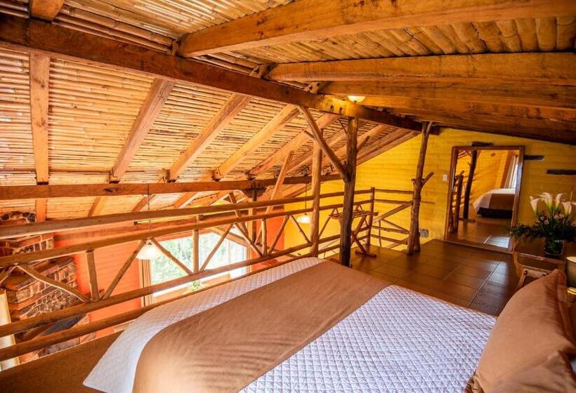 جناح, La Estelita