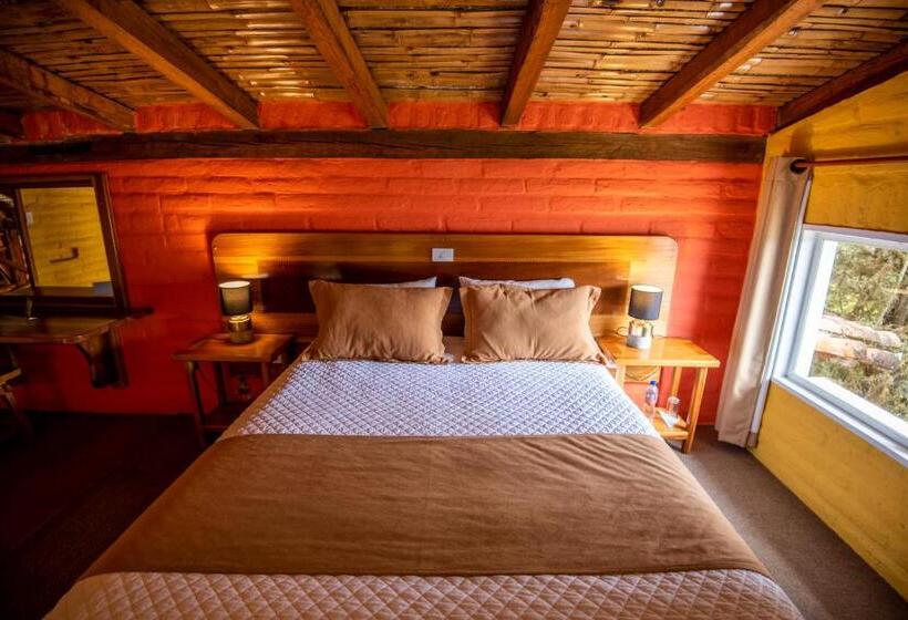 جناح, La Estelita