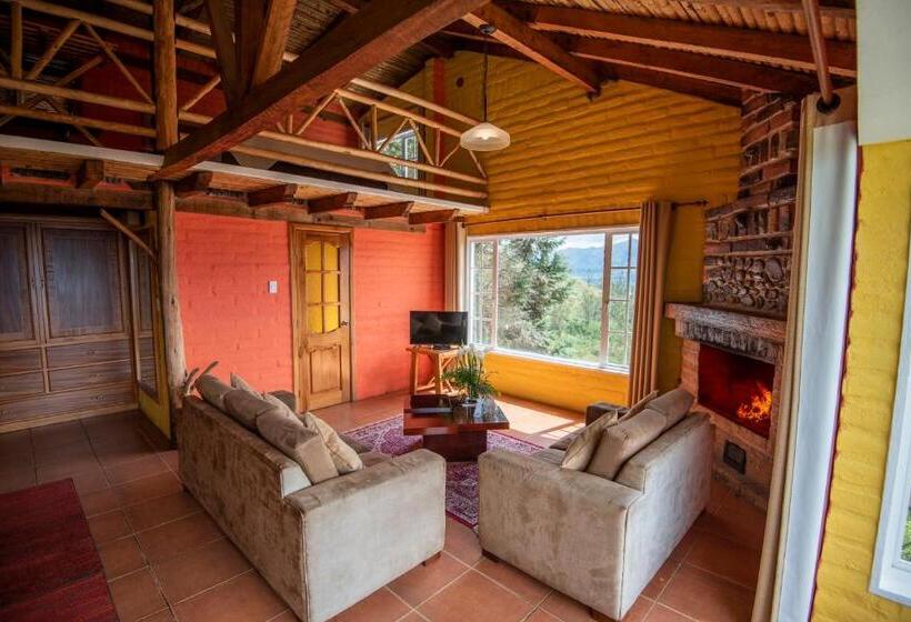 جناح, La Estelita