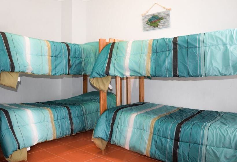 スタンダードルーム, Rumel Quimey Quipan