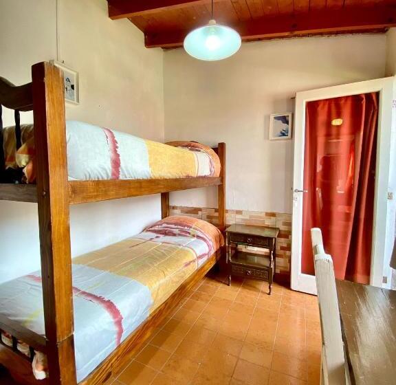 اتاق استاندارد, Open House Hostel