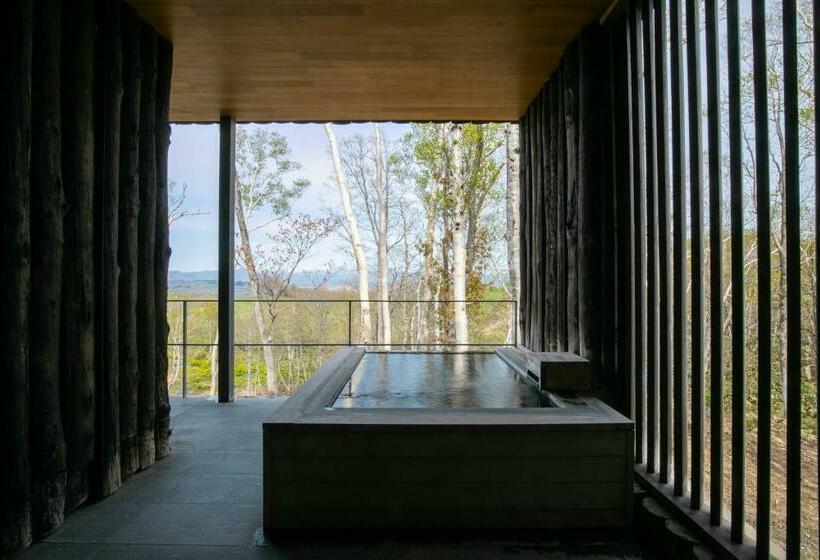 プレミアムルーム, Zaborin