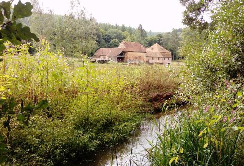 Номер Стандарт, Maison D Hôtes De Charme   Ancien Moulin En Pleine Nature   La Paulusmühle