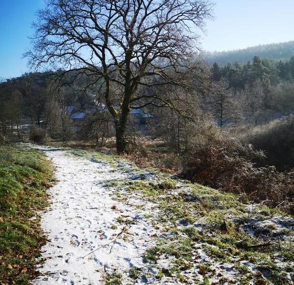 수피리어 패밀리 룸, Maison D Hôtes De Charme   Ancien Moulin En Pleine Nature   La Paulusmühle