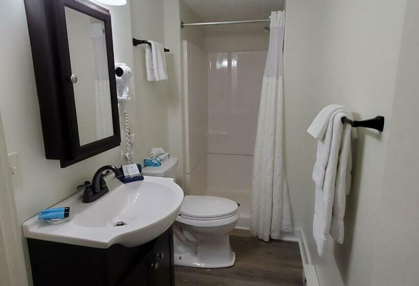 带1个卧室的公寓, Windrifter Resort