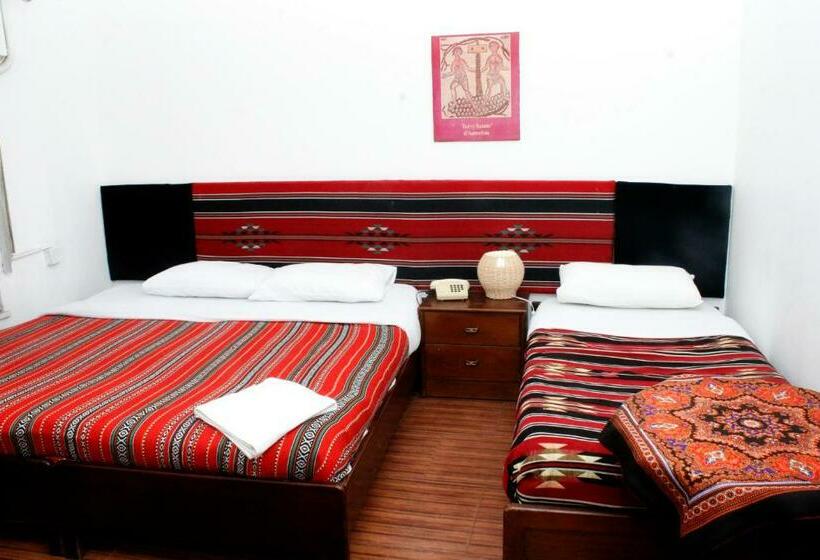 اتاق لوکس با چشم‌انداز شهر, Pasha Boutique