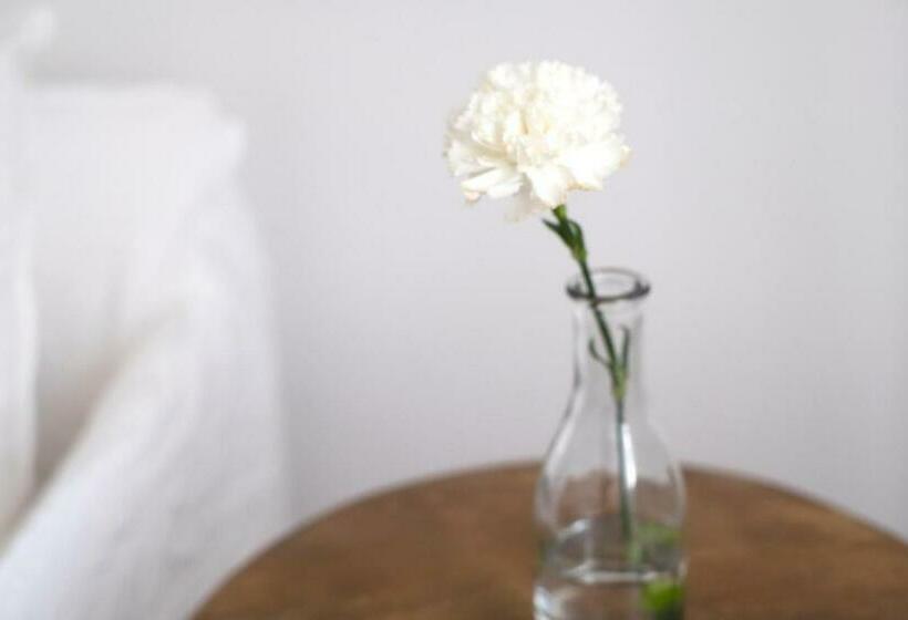 סוויטה, Ca S'arader Turismo De Interior