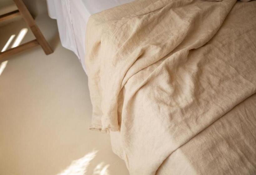 豪华房间, Can Moio Turismo De Interior