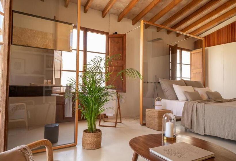 带露台的豪华间, Can Moio Turismo De Interior