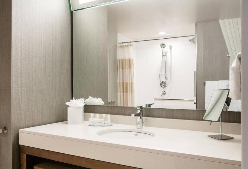 带大床的标准间, Courtyard By Marriott Omaha Bellevue At Beardmore Event Center