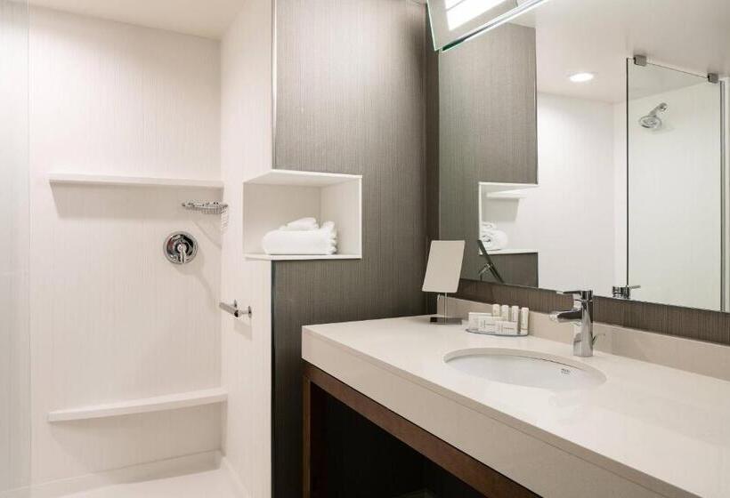 带大床的标准间, Courtyard By Marriott Omaha Bellevue At Beardmore Event Center