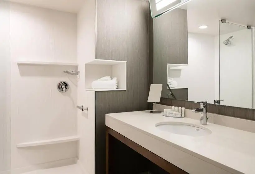 Standard-huone King-vuode, Courtyard By Marriott Omaha Bellevue At Beardmore Event Center
