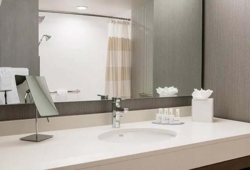 Standard-huone, Courtyard By Marriott Omaha Bellevue At Beardmore Event Center